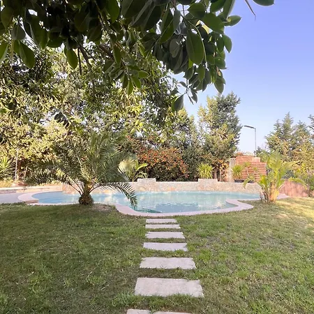 Oasis San Vicente *