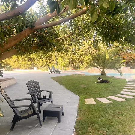 Oasis San Vicente San Vicente Raspeig